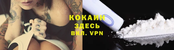 соль ск Вяземский