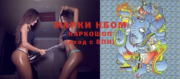 соль ск Вяземский