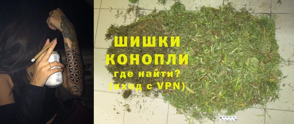 соль ск Вяземский
